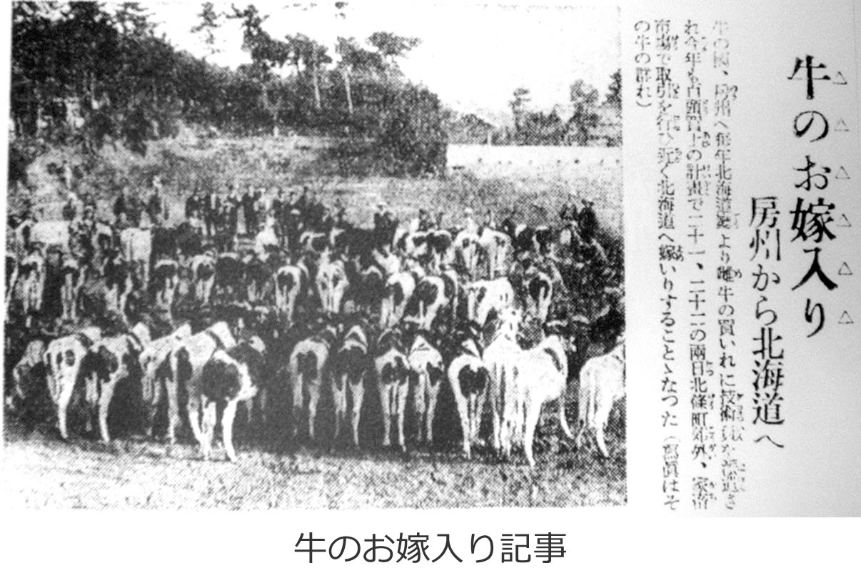 日本 の 酪農 の 歴史